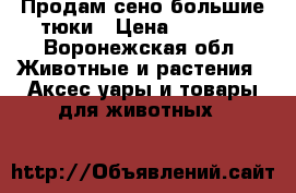 Продам сено большие тюки › Цена ­ 1 500 - Воронежская обл. Животные и растения » Аксесcуары и товары для животных   